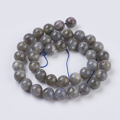 Natural Labradorite Beads Strands G-G212-10mm-23-1