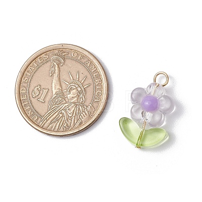 Transparent Acrylic Pendants PALLOY-JF03713-02-1