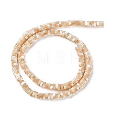Natural Trochus Shell Beads Strands BSHE-E030-09A-02-1