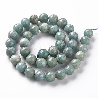 Natural Amazonite Beads Strands G-S333-10mm-005-1