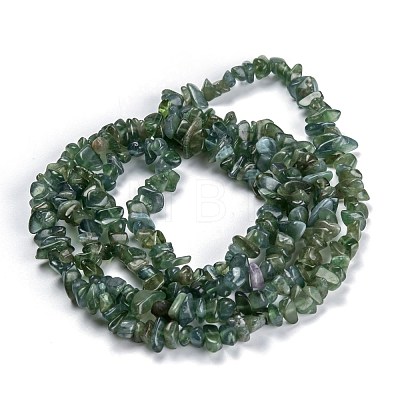 Natural Apatite Beads Strands G-G011-09-1
