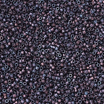 MIYUKI Delica Beads X-SEED-J020-DB0312-1