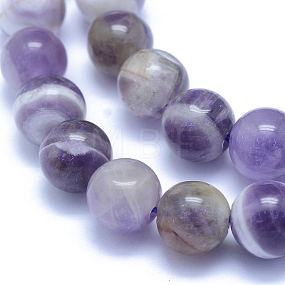Natural Amethyst Beads Strands X-G-L552H-03B-1