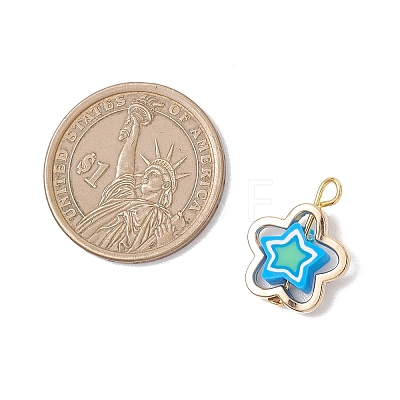 Handmade Polymer Clay with CCB Plastic Bead Frames Pendants PALLOY-JF04752-1