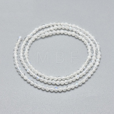 Natural Rainbow Moonstone Beads Strands X-G-A177-04-23-1