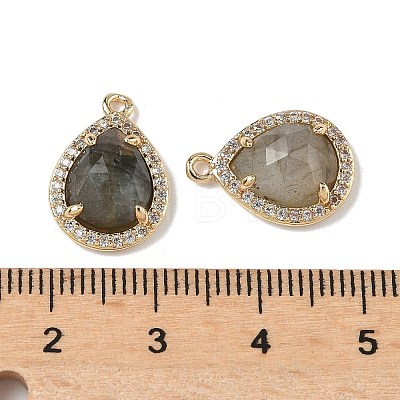 Natural Labradorite Faceted Teardrop Pendants G-U028-02G-06-1