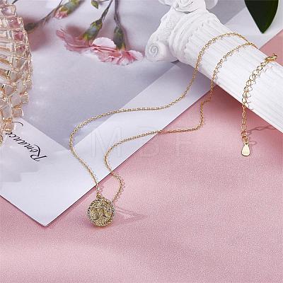925 Sterling Silver 12 Constellation Necklace Gold Horoscope Zodiac Sign Necklace Round Astrology Pendant Necklace with Zircons Birthday Jewelry Gift for Women Men JN1089E-1