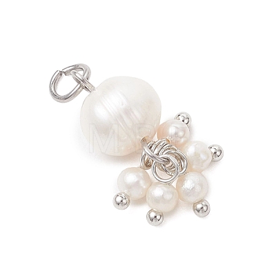 Potato Natural Cultured Freshwater Pearl Pendants PALLOY-JF04749-01-1