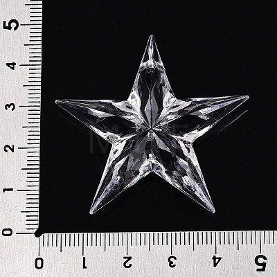 Transparent Acrylic Pendants TACR-T028-09A-1
