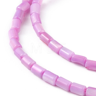 Natural Freshwater Shell Dyed Beads Strands SHEL-M018-12-08-1