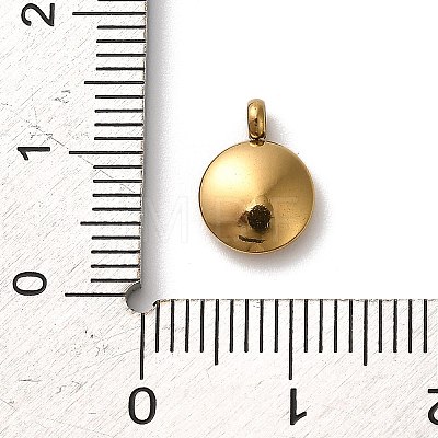 304 Stainless Steel Black Enamel Charms STAS-R009-01G-S-1