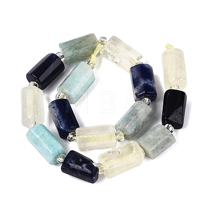 Natural Sodalite & Flower Amazonite & Lemon Quartz Beads Strands G-Q614-01A-01-1