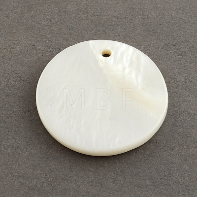 Flat Round Sea Shell Charms SSHEL-R025-15mm-1