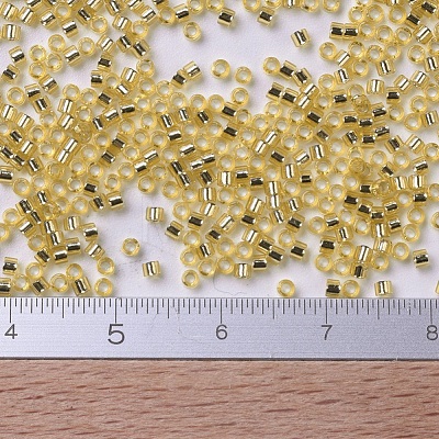 MIYUKI Delica Beads Small SEED-J020-DBS0042-1