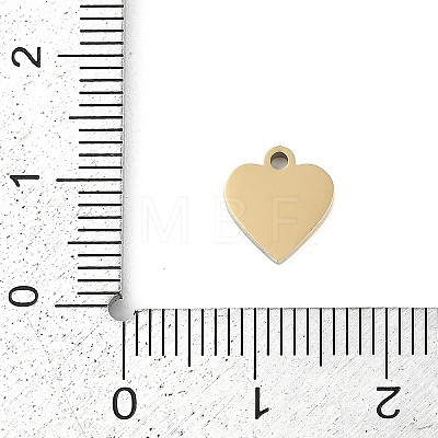 304 Stainless Steel Charms STAS-I325-136A-G-1