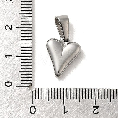 304 Stainless Steel Charms STAS-B053-12P-1