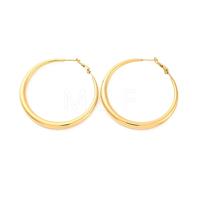 304 Stainless Steel Hoop Earrings EJEW-Z093-01G-02-1