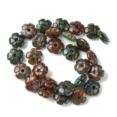 Natural Indian Agate Beads Strands G-H023-B06-01-1