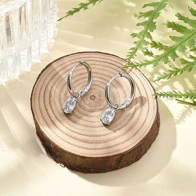 304 Stainless Steel Micro Pave Cubic Zirconia Hoop Earrings STAS-R004-07P-02-1