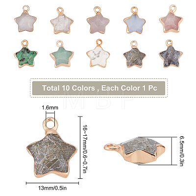10Pcs 10 Colors Natural Green Aventurine & White Jade & Grey Agate & Labradorite & Strawberry Quartz & Howlite & Ruby in Zoisite & Quartz Crystal & Rose Quartz & Black Labradorite Gemstone Pendants G-SC0002-02-1