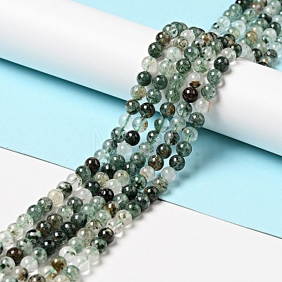 Natural Fuchsite Beads Strands G-K285-40A-1-1