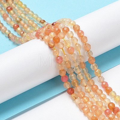 Natural Agate Beads Strands G-Q1000-02B-1