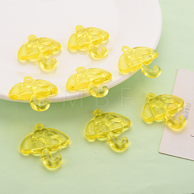 Transparent Acrylic Pendants TACR-T024-01B-916-1