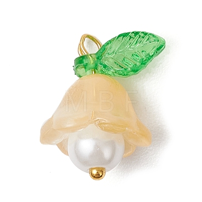 Glass Pendants PALLOY-MZ00837-03-1