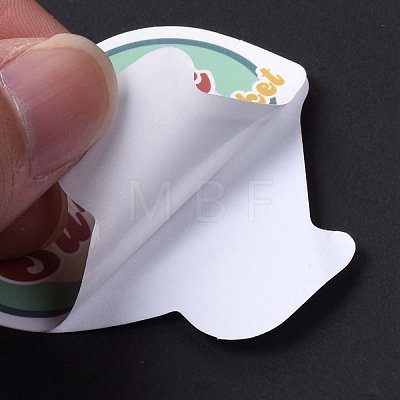 49Pcs Cat and Dog PVC Self Adhesive Stickers Set STIC-C003-01-1