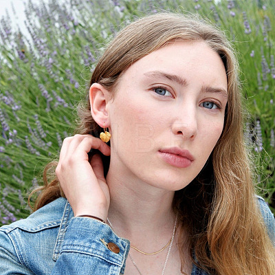 Alloy Dangle Earrings WG5CD16-01-1