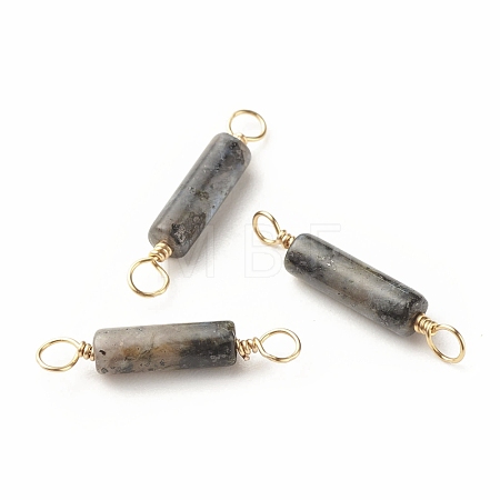 Natural Larvikite Connector Charms PALLOY-JF01454-05-1