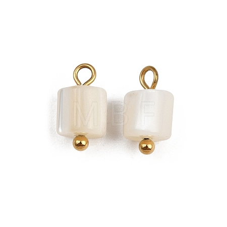 Natural Shell Column Charms STAS-D378-32G-1