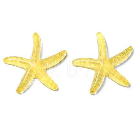 Translucent Resin Sea Animal Cabochons LS-RESI-B016-01A-1