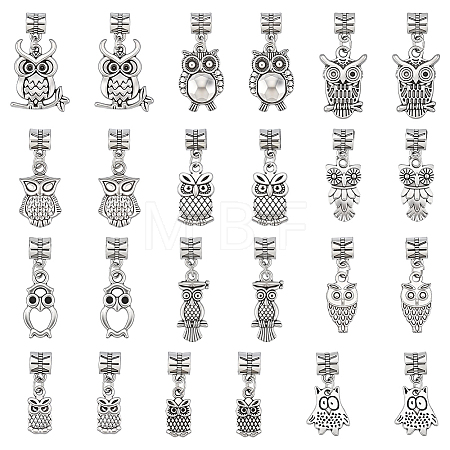 Alloy European Dangle Charms FIND-WH0199-493AS-1