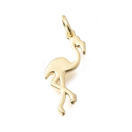 Brass Pendants KK-C255-20G-1