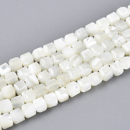 Natural Trochid Shell/Trochus Shell Beads Strands SSHEL-N041-04B-01-1