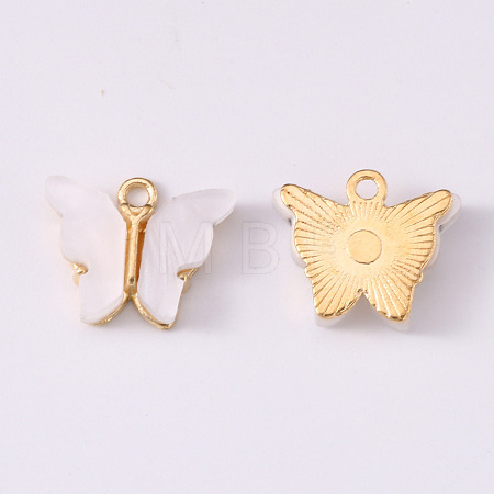 Alloy Acrylic Pendants X-ENAM-R136-01K-1