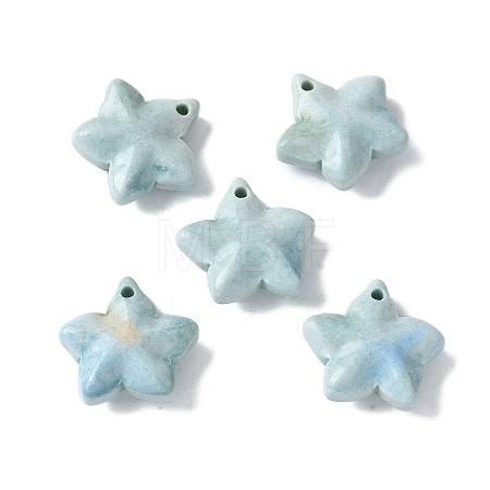 Natural Rainbow Alashan Agate Charms G-G194-02A-1