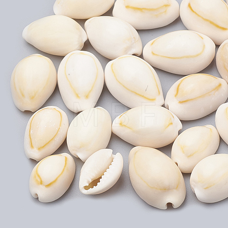 Cowrie Shell Beads SSHEL-T004-08-1