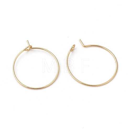 316L Surgical Stainless Steel Hoop Earring Findings STAS-G229-07G-04B-1