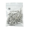 32Pcs 2 Styles Tibetan Style Alloy Pendants FIND-FS0002-12-6
