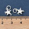 925 Sterling Silver Pave Clear Cubic Zirconia Star Charms STER-H119-03S-3