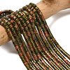 Natural Unakite Beads Strands G-P608-A10-01-1
