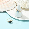 Oval Abalone Shell/Paua Shell Finger Rings RJEW-JR01032-1