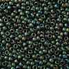 TOHO Round Seed Beads SEED-JPTR08-0707-2