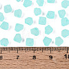 FGB Frosted Transparent Glass Seed Beads SEED-N013-03A-10-4