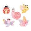 Transparent & Opaque Resin Pendants RESI-P048-02-1
