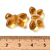 Transparent Lampwork Beads LAMP-P065-02A-23-3