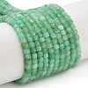 Natural Chrysoprase Beads Strands G-B088-E19-02-1