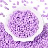 Opaque Baking Paint Glass Seed Beads SEED-T008-02T-2